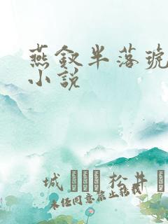 燕钗半落琥珀糖小说