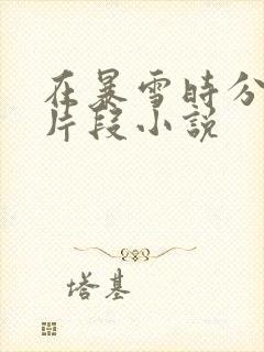 在暴雪时分高能片段小说