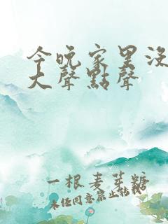 今晚家里没人叫大声点声