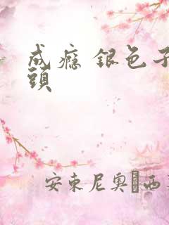 成瘾 银色子弹头