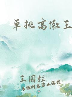 单挑高傲王子