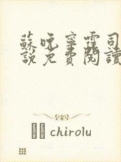 苏晚宁霍司烨小说免费阅读