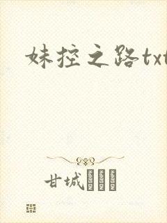 妹控之路txt