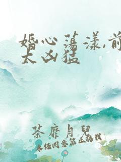 婚心荡漾,前夫太凶猛