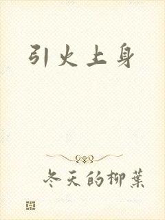 引火上身