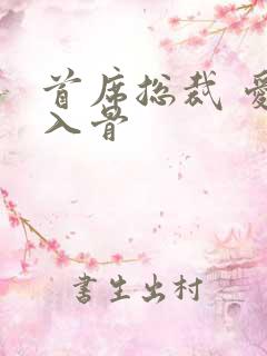 首席总裁 爱你入骨