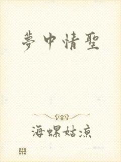 梦中情圣