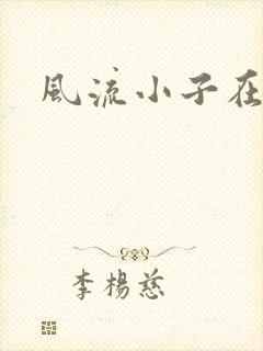 风流小子在异世