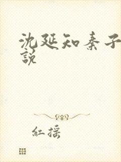 沈延知秦子卿小说