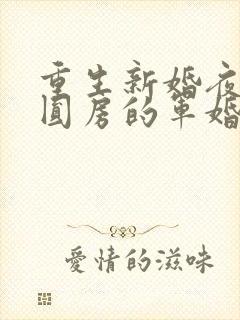 重生新婚夜正在圆房的军婚小说