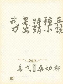 我是特种兵之利刃出鞘小说