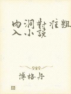 肉洞对准粗大坐入小说