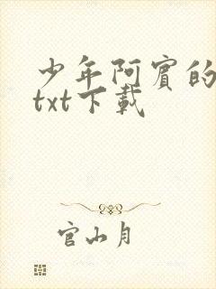 少年阿宾的故事txt下载