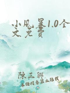 小风暴1.0全文免费