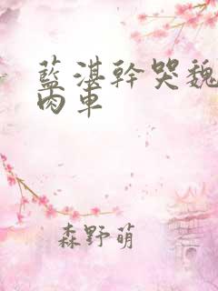 蓝湛干哭魏无羡肉车