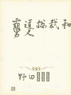 霸道总裁和他的男人