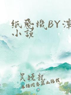纸飞机BY潭石小说