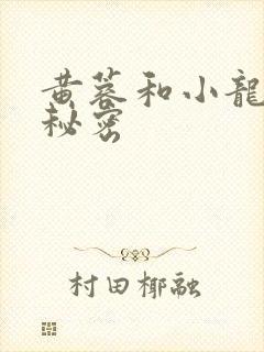 黄蓉和小龙女的秘密