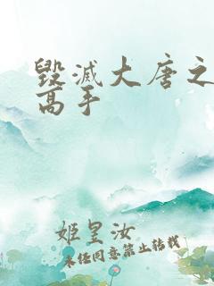 毁灭大唐之异能高手