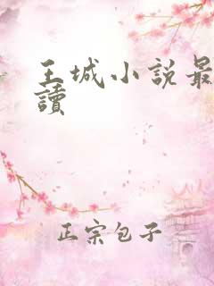 王城小说最近阅读