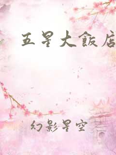 五星大饭店小说