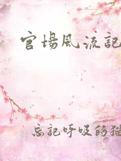 官场风流记