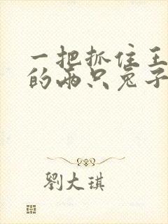 一把抓住王昭君的两只兔子