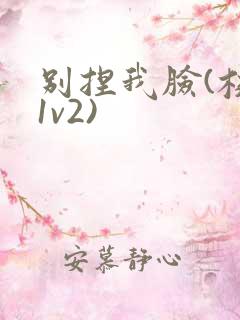 别捏我脸(校园1v2)