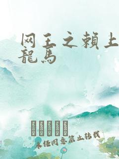 网王之赖上越前龙马