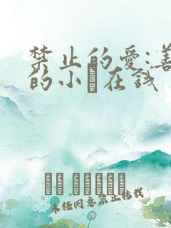 禁止的爱:善良的小峓在钱