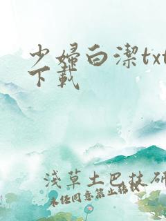 少妇白洁txt下载