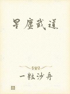 星尘武道
