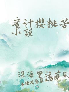 蜜汁樱桃苦咖啡小说