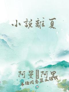 小说离夏