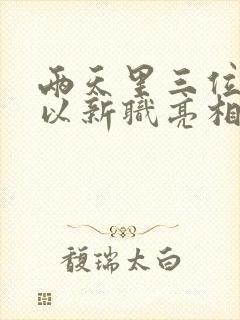 两天里三位将军以新职亮相