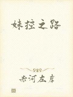 妹控之路