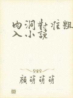 肉洞对准粗大坐入小说