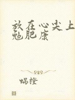 放在心尖上七猫勉肥康