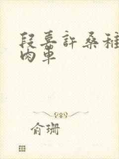 段嘉许桑稚浴室肉车