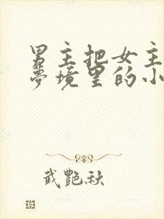 男主把女主拖进梦境里的小说