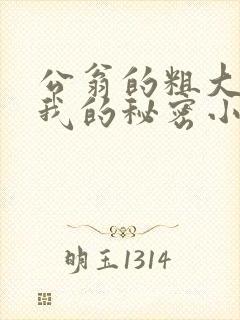 公翁的粗大放进我的秘密小说