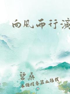 向风而行演员表