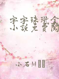 字字珠玑金银花小说免费阅读