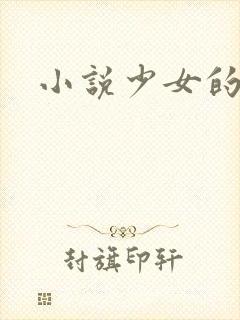 小说少女的心