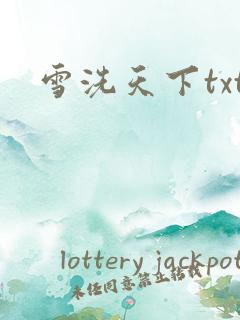 雪洗天下txt