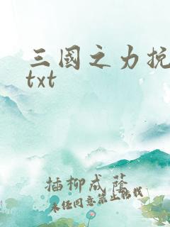 三国之力挽狂澜txt