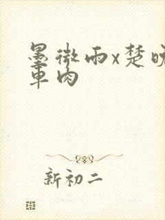 墨微雨x楚晚宁车肉