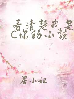 看清楚我是怎么C你的小说