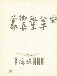 董卿与公安部副部长生子