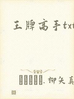王牌高手txt